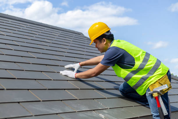 Best Storm Damage Roof Repair  in Pecatonica, IL