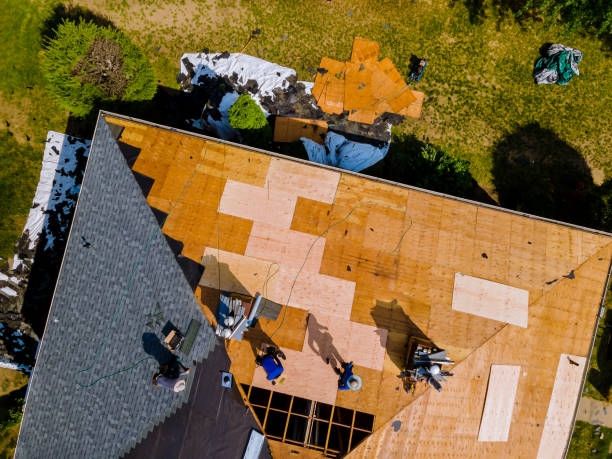 Best Storm Damage Roof Repair  in Pecatonica, IL
